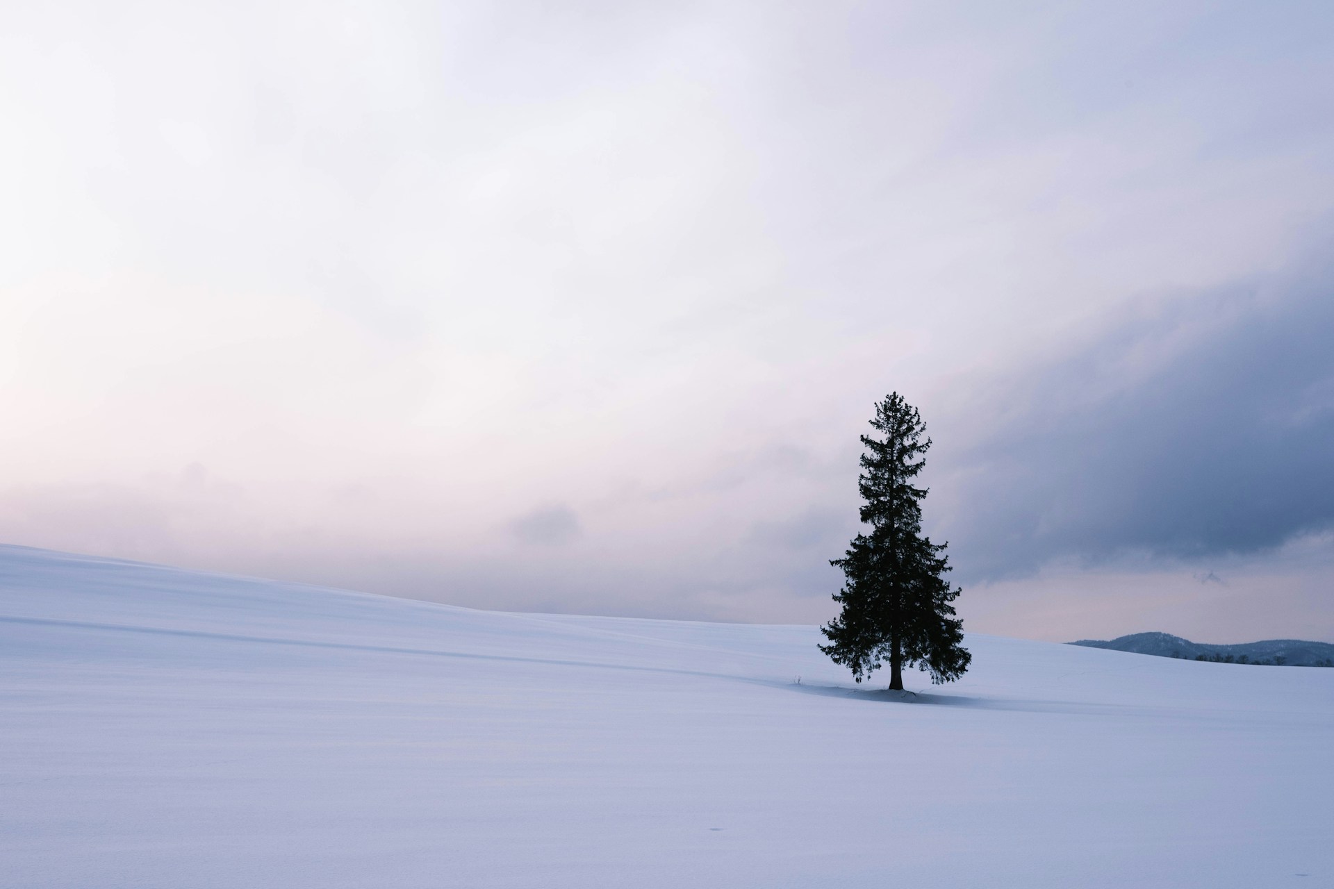 a lone tree in the middle of a snowy field